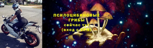 ECSTASY Абаза
