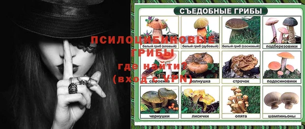 молекула духа Алзамай