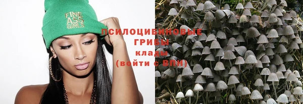 молекула духа Алзамай